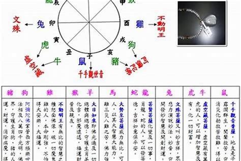 2003年五行属什么|2003年出生的人属什么生肖，五行八字查询